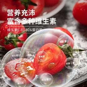 【专享】斜源爆汁小番茄1kg礼篮装自然生长无催熟无激素甜蜜可口