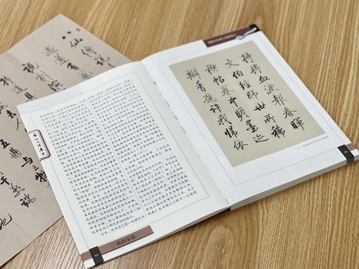 启功口述历史 启功/口述 赵仁珪 章景怀/整理 9787303070190  北京师范大学出版社 正版书籍 商品图8