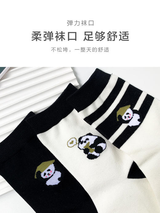 足装秀24新品春夏男士短袜棉质细腻顺滑透气抗起球潮袜男中邦袜子 商品图6