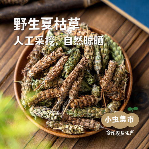 野生夏枯草50g/袋 | 合作农友生产，产自广东连南瑶族自治县，生产者：张运东 &【公平贸易农人定价】 商品图0