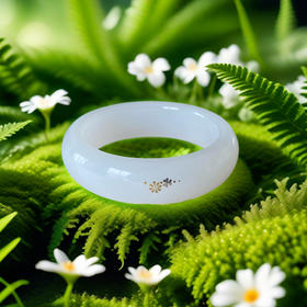 和田玉（羊脂玉）手镯（错金彩蝶系列54#）