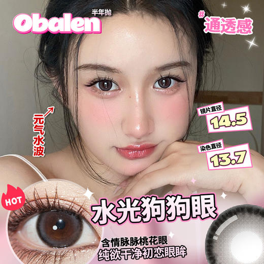 Obalen【第2副0元】半年抛【灰色合集】欧巴兰自然通透柔雾冷调轻混血隐形眼镜2片装 商品图2