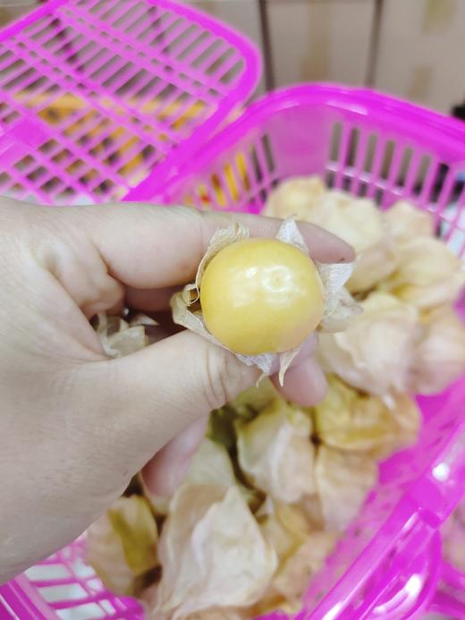 菇娘2筐 商品图0