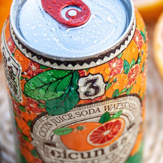 溪存 血橙苏打水330ml 商品图2