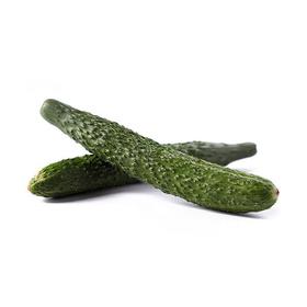 【早夜市特惠】黄瓜 约500g份