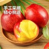 油桃 约500g【BC】【QC】 商品缩略图2