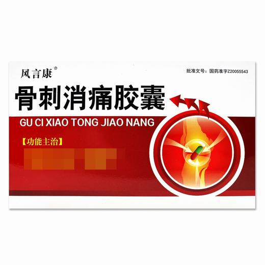 风言康,骨刺消痛胶囊【0.3g*20粒*2板/盒】吉林松辽 商品图2