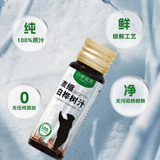 严选 | 白桦依然浓缩白桦树汁 50ml*8瓶/盒 纯天然桦树浓缩汁液 无任何添加 商品图2