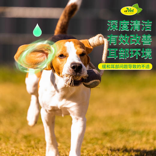 德国 cdVet 施德维特 耳部护理液（犬） 20ml（礼盒含红色滴头） 商品图2