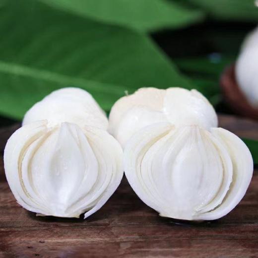 乡野陇味 兰州百合皇甜百合可生吃水果蔬菜高原百合原生态产地直发 商品图4