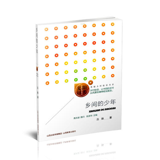 正版 阳光麦田第三季 乡间的少年 吕振著 中国当代散文集 山西教育出版社出版 商品图0