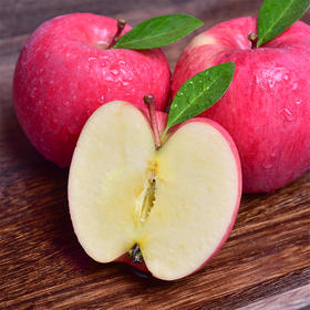 【甘肃】静宁苹果12枚普装