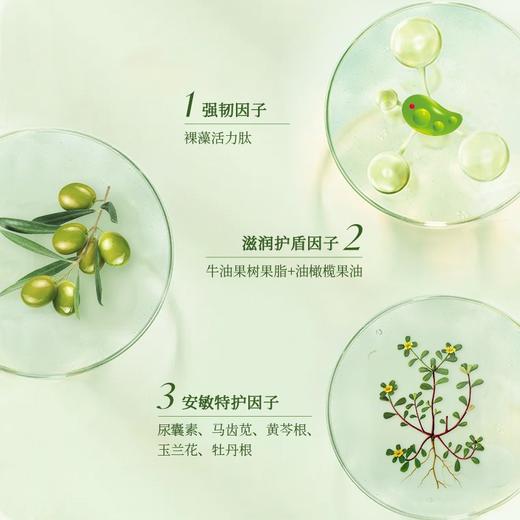 宝宝加 婴儿 裸藻精萃 多效护理膏 75ml 商品图2