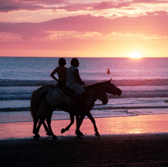 【普吉岛】普吉国际马术俱乐部|沙滩骑马+喂马