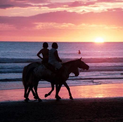 【普吉岛】普吉国际马术俱乐部|沙滩骑马+喂马 商品图0