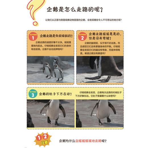 《这是理所当然的吗？不一定吧》（全3册） 商品图8