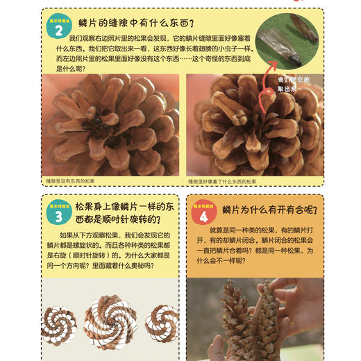 《这是理所当然的吗？不一定吧》（全3册） 商品图6