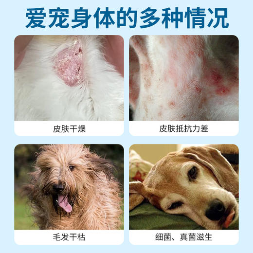 德国 cdVet 施德维特 护理香波 200ml 商品图1