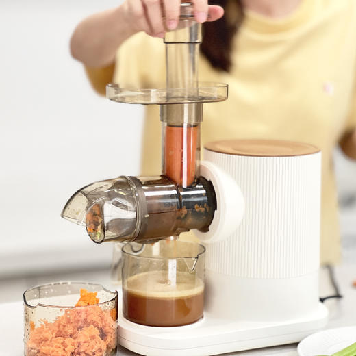 TT慢磨原汁机榨汁机 T330W 商品图3