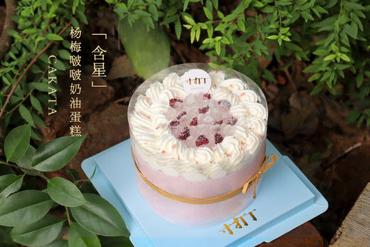 含星·杨梅啵啵奶油蛋糕丨（可备注少糖） 商品图0