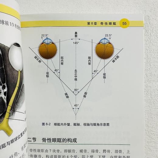 眼解剖学图解 商品图4
