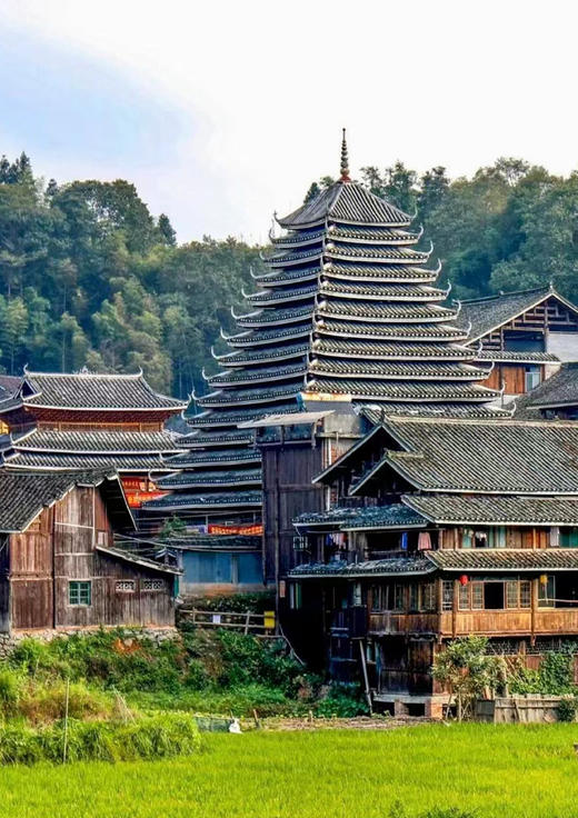 【南山大草原】动车四天湘桂联游 商品图2