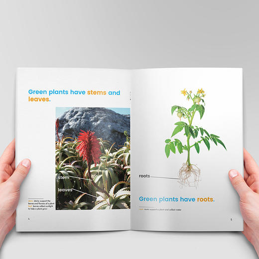 海尼曼科学英语分级阅读《入门级》《基础级》《提高级》 商品图4