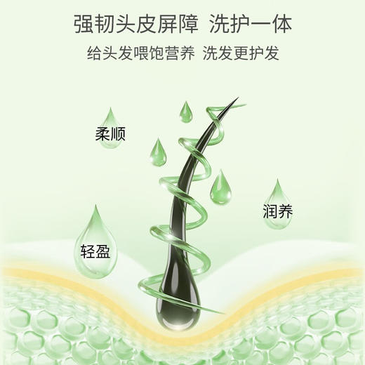 宝宝加 儿童裸藻 精萃洗发水 500ml 商品图1