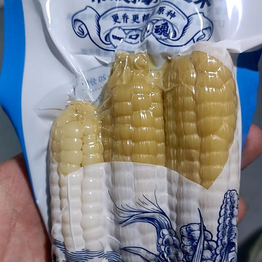 【800年非转基因老种 ——拇指小玉米】云南农科院护航 品质、营养认证一应俱全 商品图5