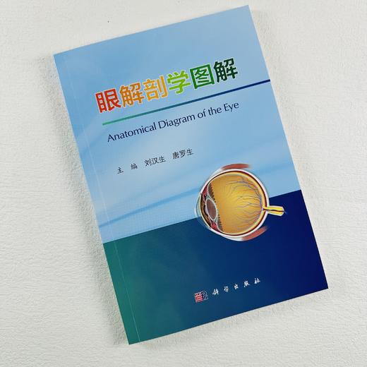 眼解剖学图解 商品图1
