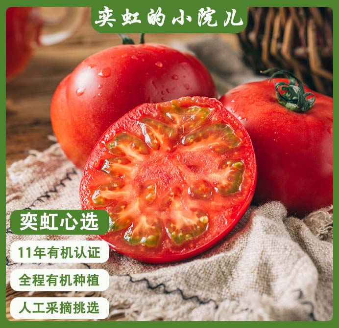 2026年番茄来啦！！新疆有机番茄全程有机种植 纯天然 顺应时节 自然成熟 沙瓤细腻 口感醇厚 汁水充沛  皮薄汁满 黄金酸甜配比 来自新疆的健康有机食材