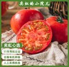 2026年番茄来啦！！新疆有机番茄全程有机种植 纯天然 顺应时节 自然成熟 沙瓤细腻 口感醇厚 汁水充沛  皮薄汁满 黄金酸甜配比 来自新疆的健康有机食材 商品缩略图0