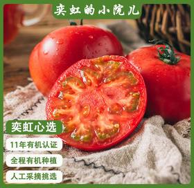 2026年番茄来啦！！新疆有机番茄全程有机种植 纯天然 顺应时节 自然成熟 沙瓤细腻 口感醇厚 汁水充沛  皮薄汁满 黄金酸甜配比 来自新疆的健康有机食材