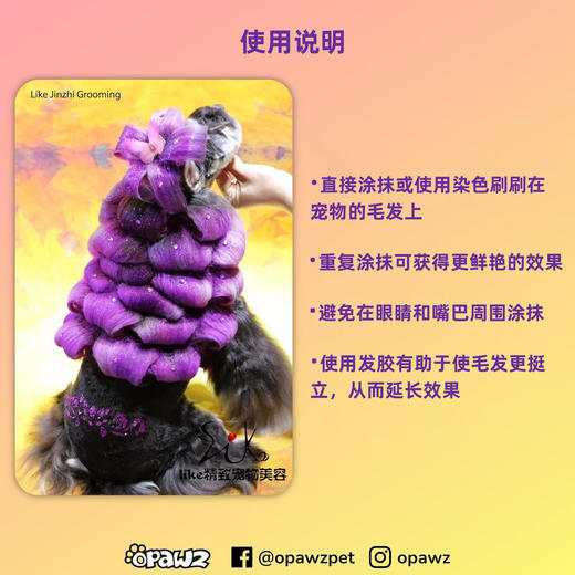 快染粉盒12色套装 OPAWZ小爪印 商品图3