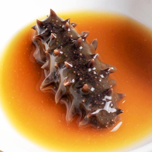 大连鑫玉龙有机单冻即食海参 8-10头/500g水产海鲜 商品图3