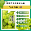 阳光玫瑰葡萄精品果培育技术 商品缩略图0