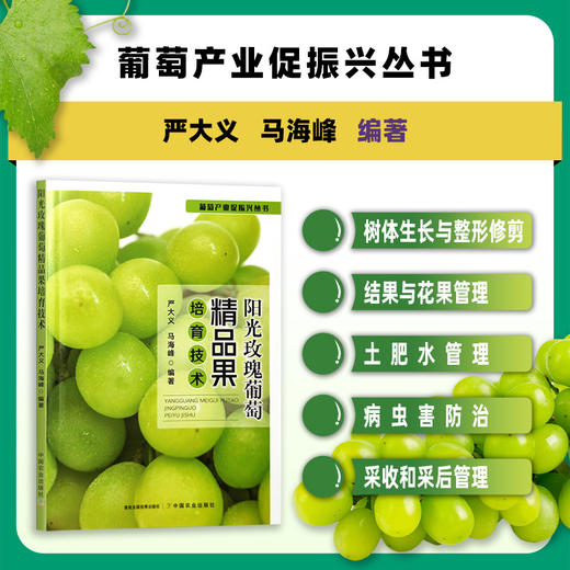 阳光玫瑰葡萄精品果培育技术 商品图0