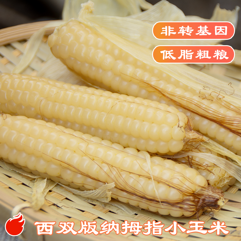 【纱衣拇指玉米】西双版纳 软糯皮薄 香味浓郁 颗粒饱满 代脂代餐 2斤装礼盒