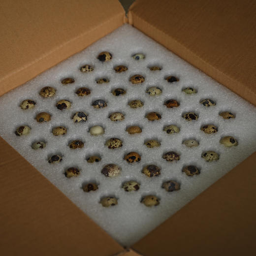 生态鹌鹑蛋 商品图9