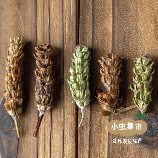 野生夏枯草50g/袋 | 合作农友生产，产自广东连南瑶族自治县，生产者：张运东 &【公平贸易农人定价】 商品图5