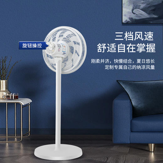 【电风扇落地扇】家用平面扇遥控器台式 可拆洗强力宿舍大风力风扇  商品图2