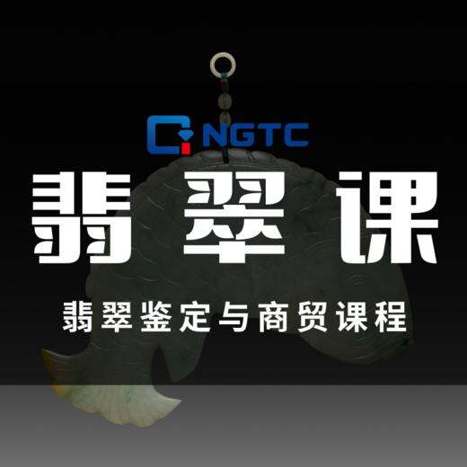 贵州翡翠鉴定与商贸课程 商品图0
