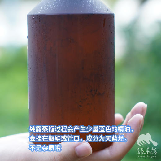 生态德国洋甘菊纯露 | 合作生产* Eco-chamomile pure dew | Coproduction 商品图1