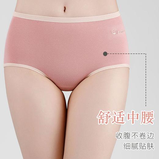 📣【PLOVER啄木鸟纯棉石墨烯抗菌女士内裤 1357款】✅甄选高品质贴身精梳棉，软糯亲肤透气，感受肌肤自在呼吸。💰 商品图3