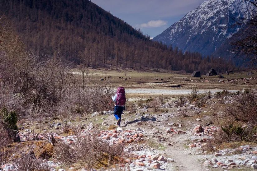风里雨里,在四姑娘山遇见你—Deuter Aircontact 征途 50+10L登山包体验