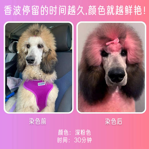 宠物染色香波-黄色 500ml OPAWZ小爪印 商品图5