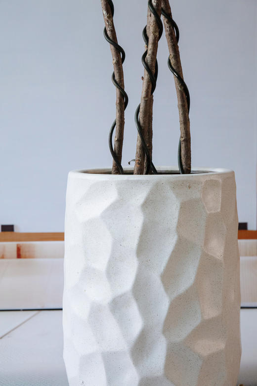 黑金刚 商品图1