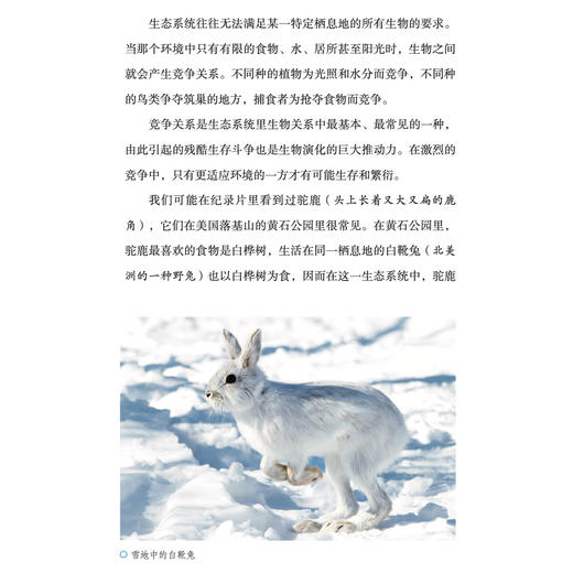 “苗德岁写给孩子的自然科学”3册套装：《人类进化》《生态家园》《奇妙生物》 商品图13