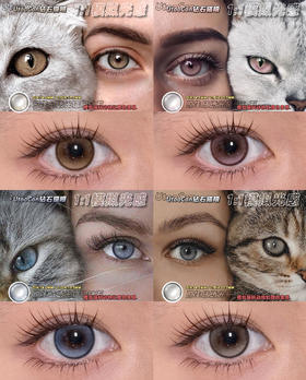 utoocon 钻石猫眼系列 棕/灰/蓝/粉 14.2mm 月抛 非离子