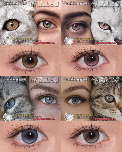 utoocon 钻石猫眼系列 棕/灰/蓝/粉 14.2mm 月抛 非离子 商品图0